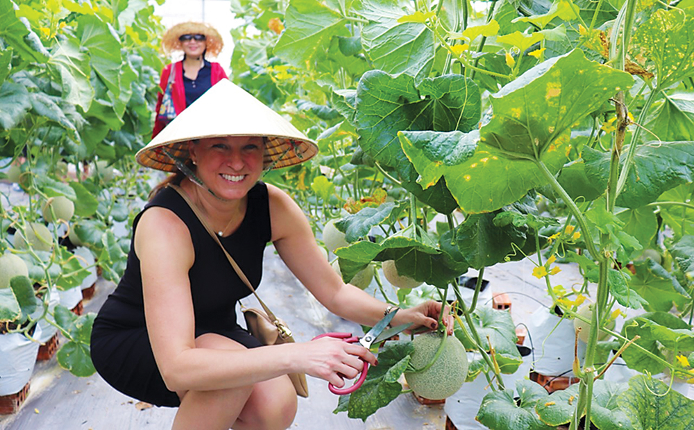 Tuyên truyền, quảng bá du lịch An Giang Tuyên truyền, quảng bá du lịch An Giang
