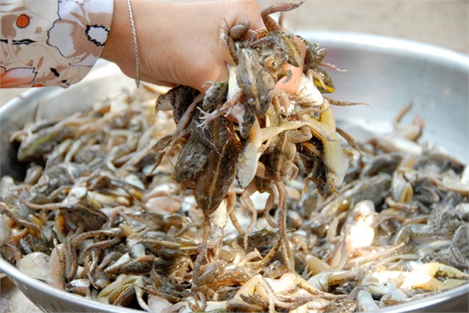 "Vũ nữ chân dài" miền Tây lừng danh làm ngây ngất thực khách