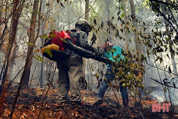 Hà Tĩnh: Cháy rừng bùng phát trở lại trong đêm tại khu vực núi Nầm