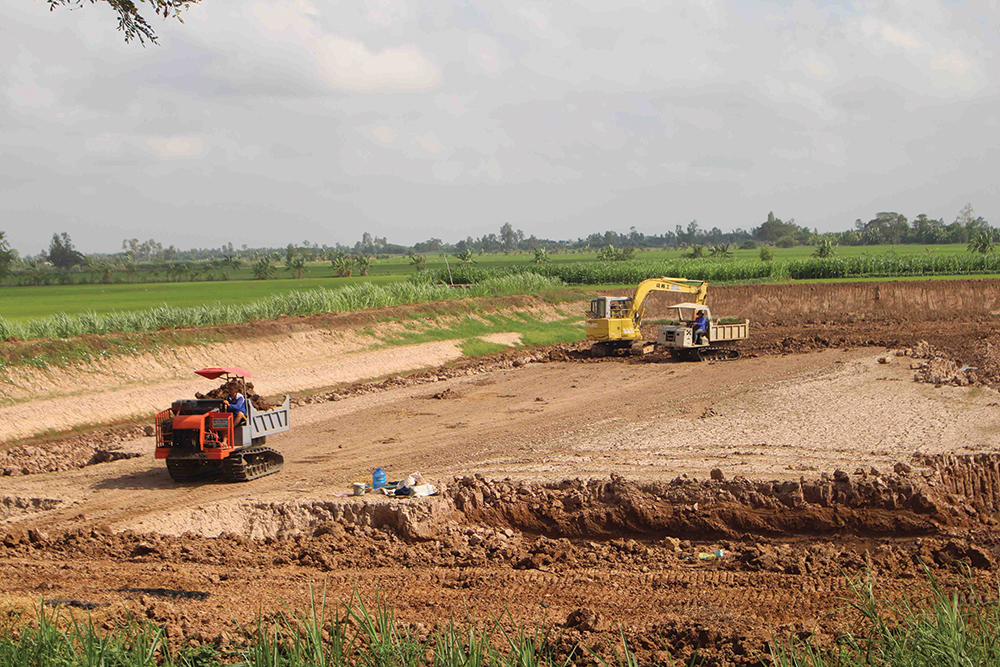 Nguy cơ “mất kiểm soát” của ngành hàng cá tra Nguy cơ “mất kiểm soát” của ngành hàng cá tra