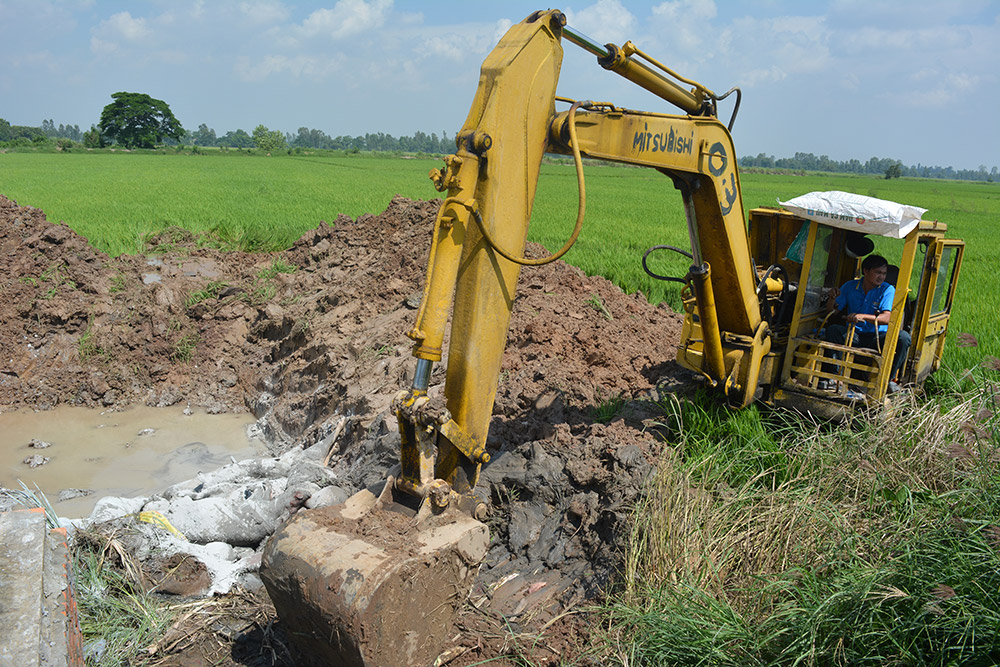 Châu Thành phát hiện 2 ổ dịch tả heo Châu Phi