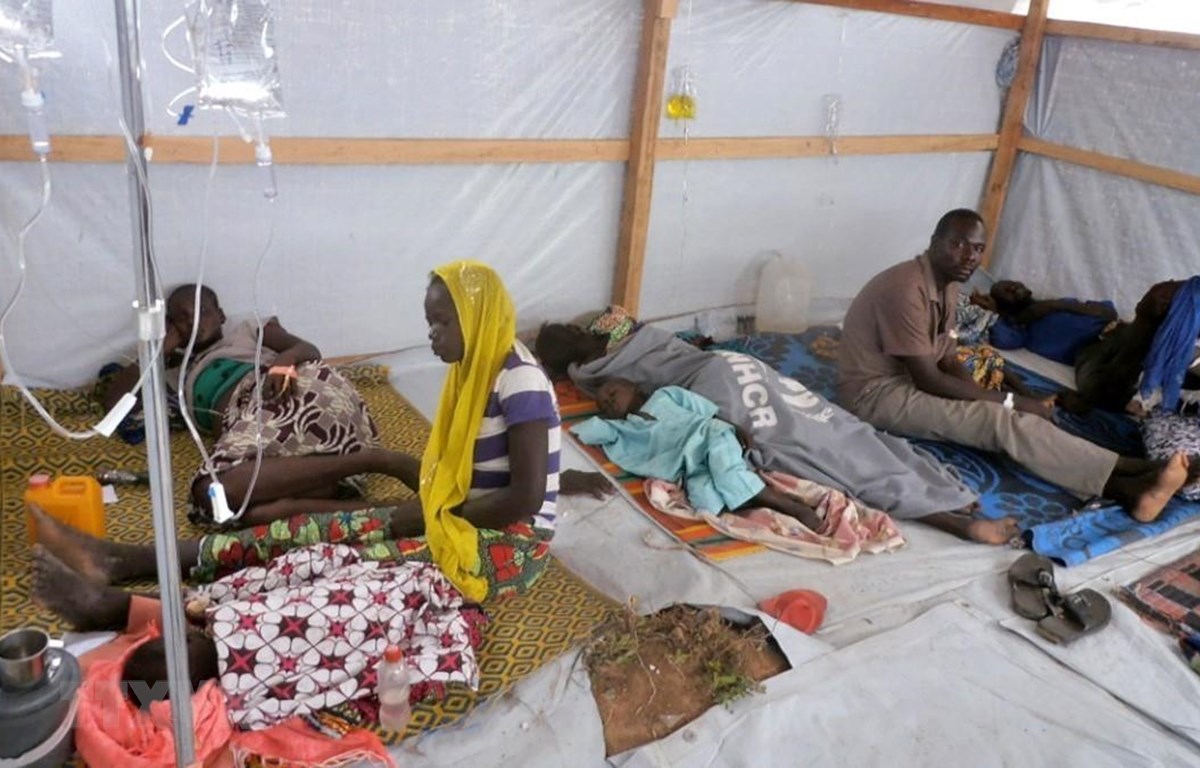 Dịch tả tái bùng phát tại Cameroon, gần 50 người thiệt mạng