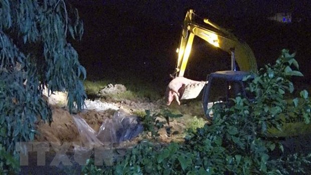 Chủ tịch xã bị kiểm điểm vì lơ là chống dịch tả lợn châu Phi