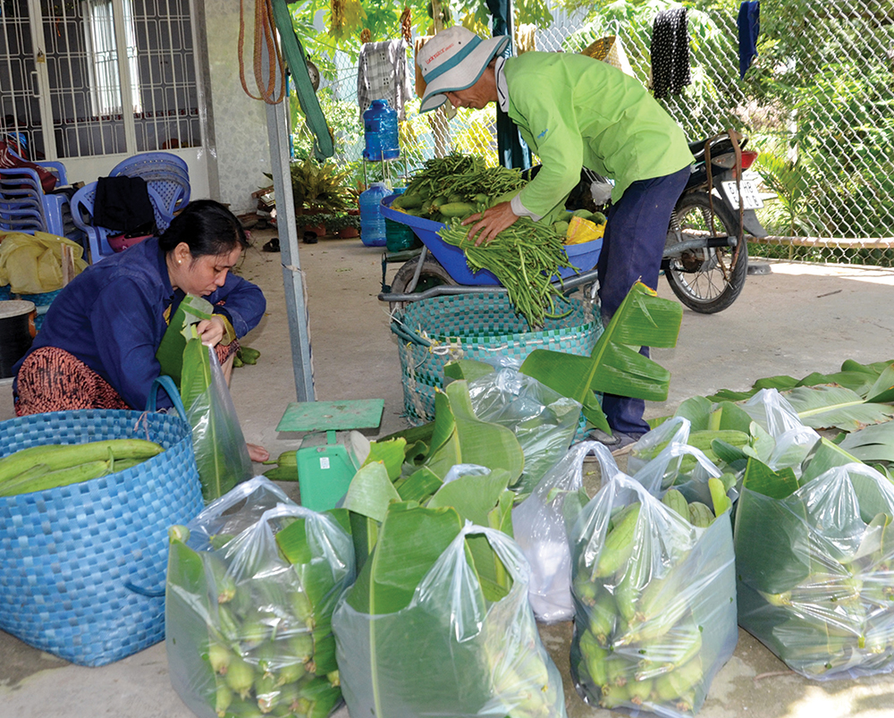Mùa mưa ở Bảy Núi