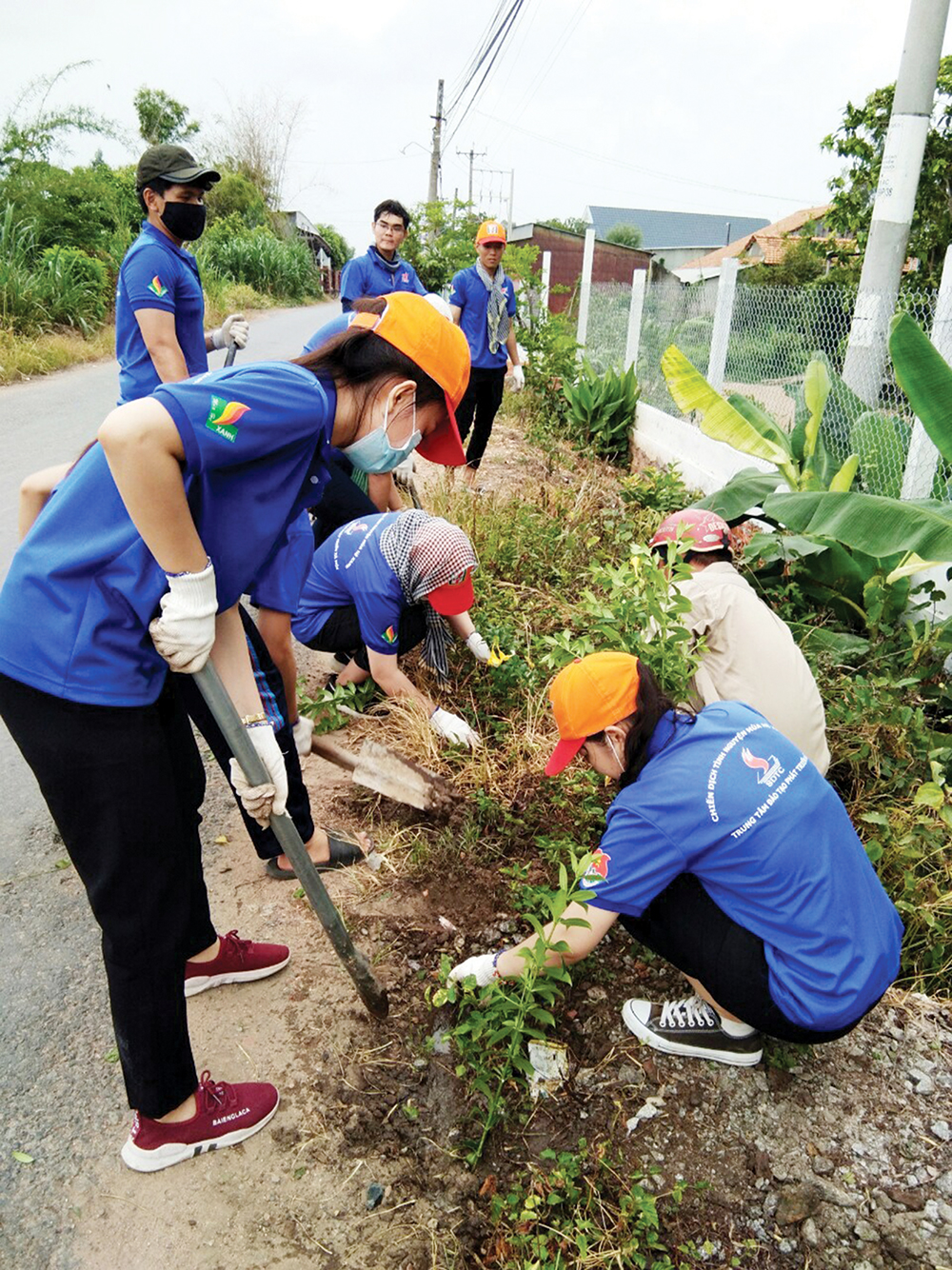 Tấm lòng của sinh viên tình nguyện