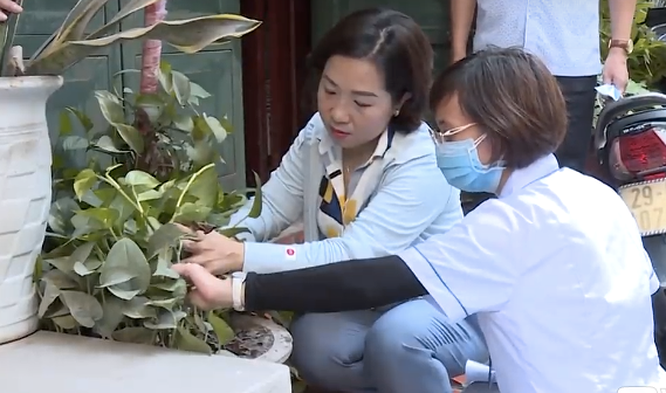 Bộ trưởng Y tế: Kiên quyết không để dịch SXH bùng phát, lan rộng