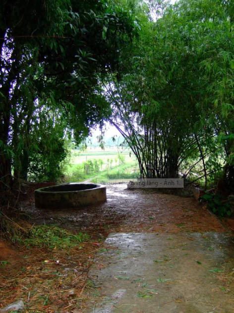 Xa quê nhớ giếng làng