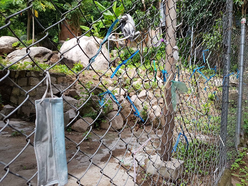 Làm sạch đường lên núi Cấm