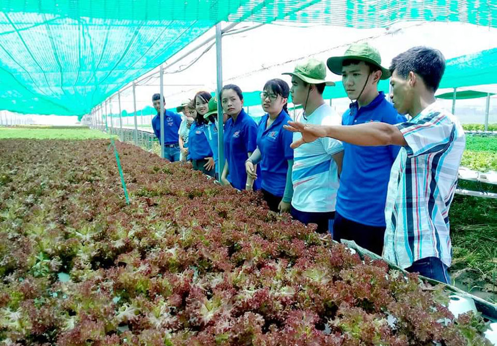 Trên 1,5 tỷ đồng thực hiện các công trình, phần việc tình nguyện
