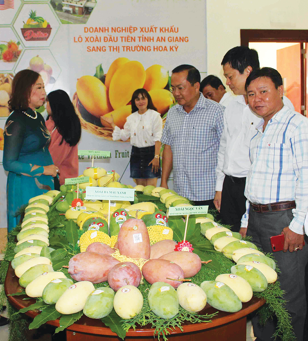 Đẩy mạnh xuất khẩu xoài sang các quốc gia phát triển Đẩy mạnh xuất khẩu xoài sang các quốc gia phát triển