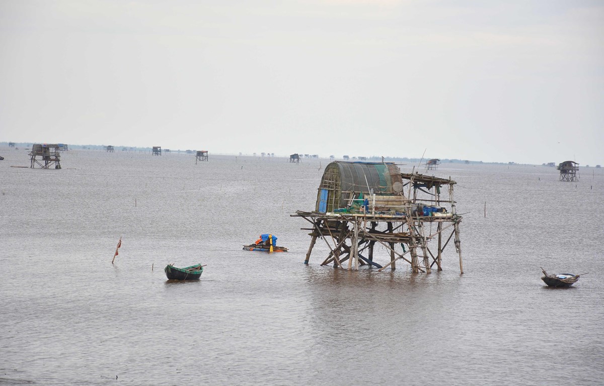 Chủ động triển khai các phương án ứng phó với bão số 3 Wipha