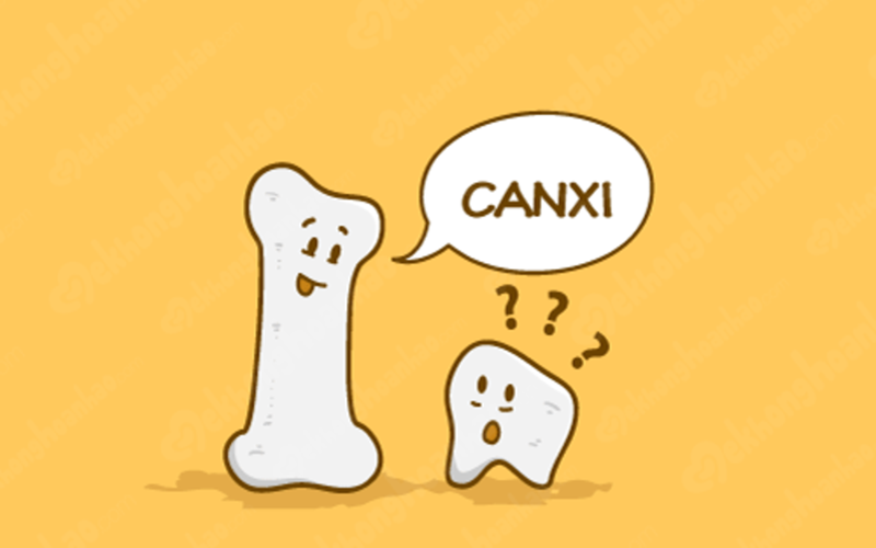 11 thực phẩm giàu canxi mà không phải là sữa