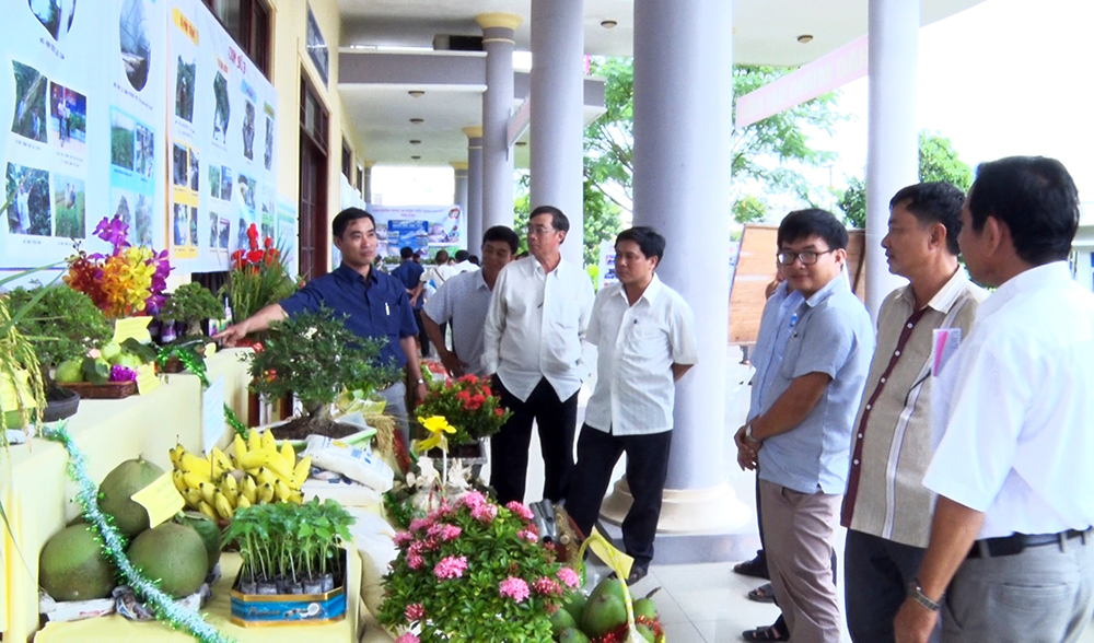 Phú Tân tuyên dương nông dân sản xuất kinh doanh giỏi lần thứ XI, giai đoạn 2016-2019
