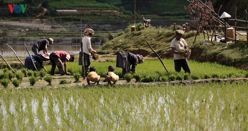 Mù Cang Chải - một trong những điểm đến đẹp nhất thế giới
