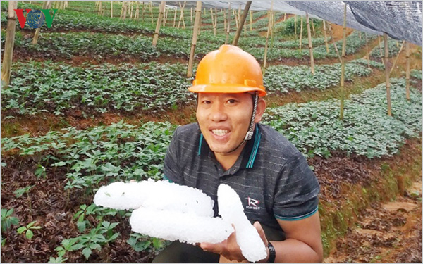 Mưa đá bất thường giữa mùa Hè ở Lào Cai