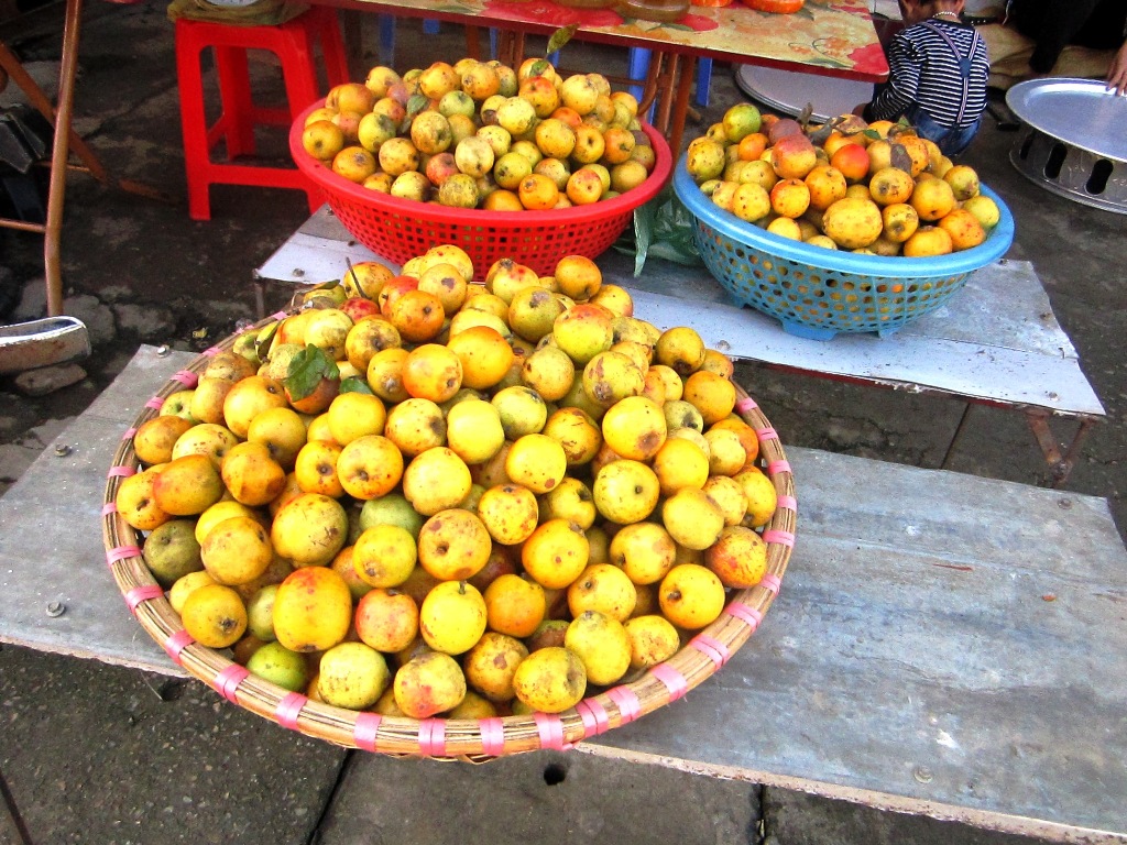 Vẻ đẹp Tây Bắc qua sắc thu vàng