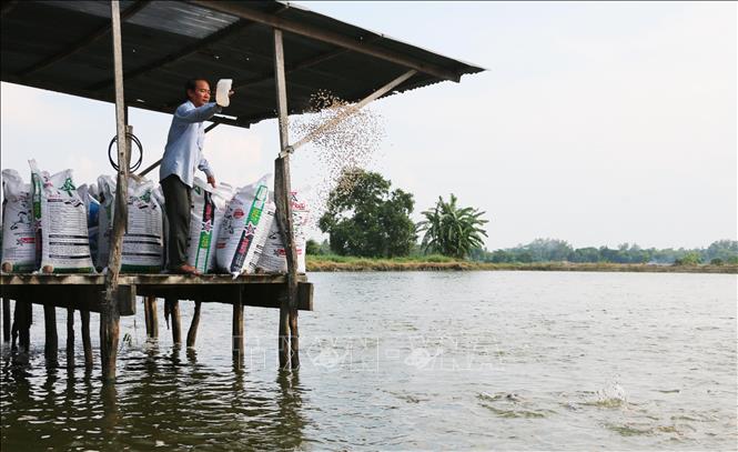 Đi lên từ gian khó, tỷ phú nông dân Tám Đậu hết lòng phụ giúp người nghèo