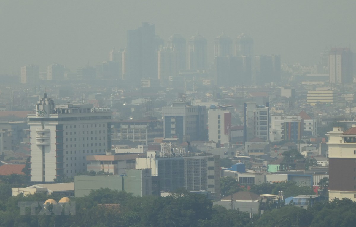 Giới chức Indonesia xác nhận địa điểm đặt thủ đô mới trên đảo Borneo