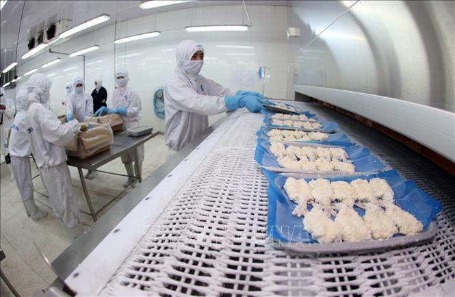 31 doanh nghiệp Việt Nam xuất khẩu tôm sang Mỹ hưởng mức thuế 0%