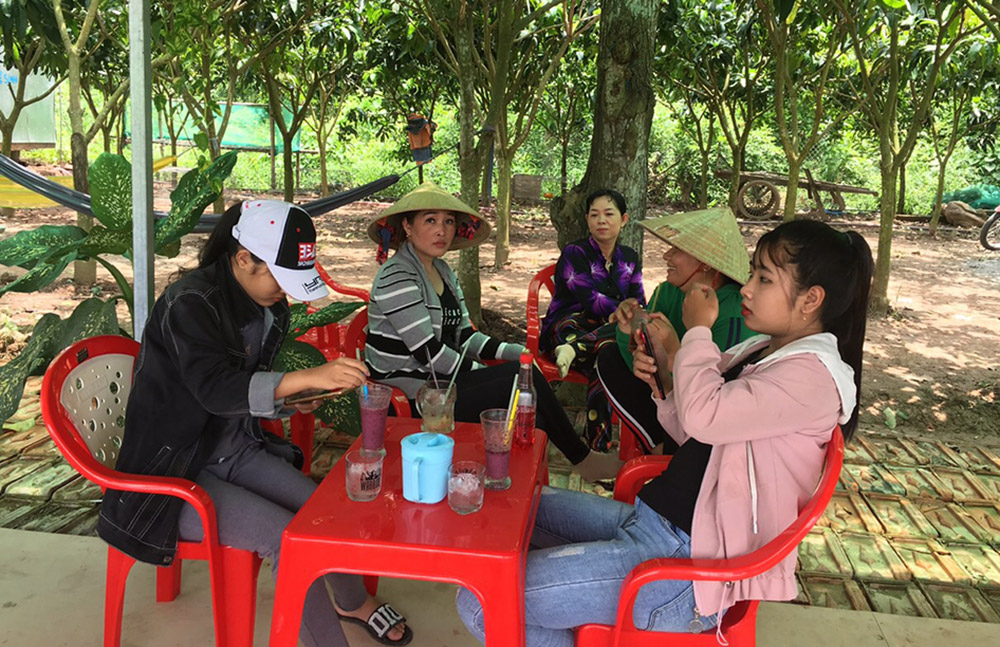 Trồng dâu tằm kết hợp dịch vụ du lịch