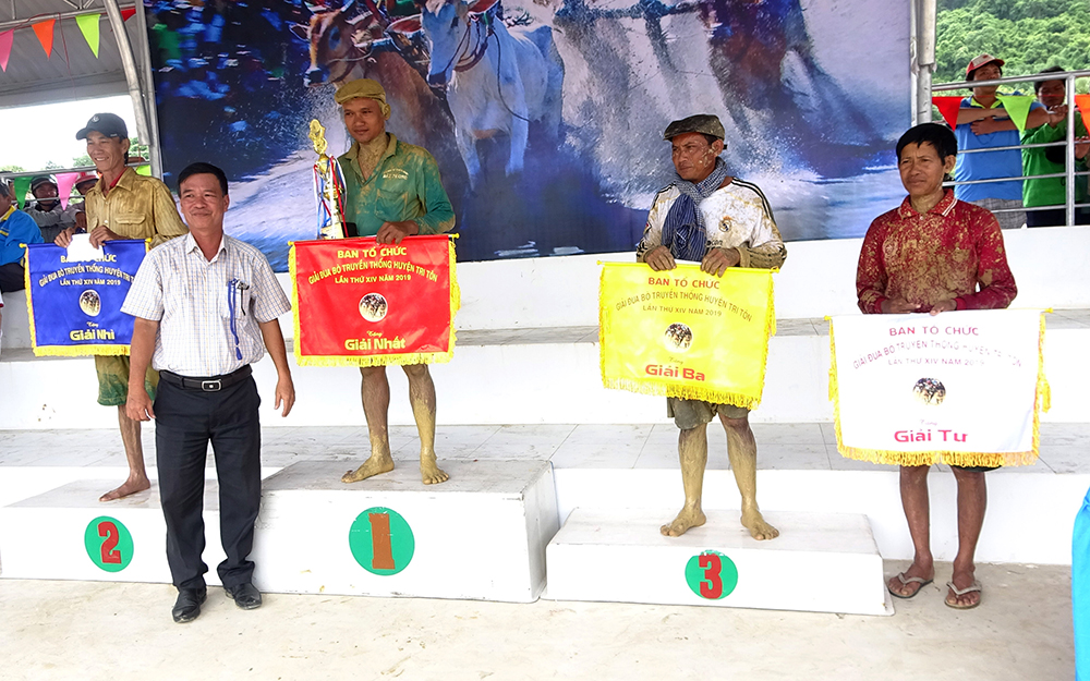 40 đôi bò tham gia Hội đua bò truyền thống huyện Tri Tôn 40 đôi bò tham gia Hội đua bò truyền thống huyện Tri Tôn
