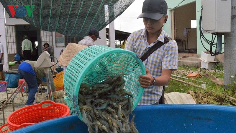 Xuất khẩu thuỷ sản giảm nhẹ nhưng nhập khẩu lại tăng 4,4%