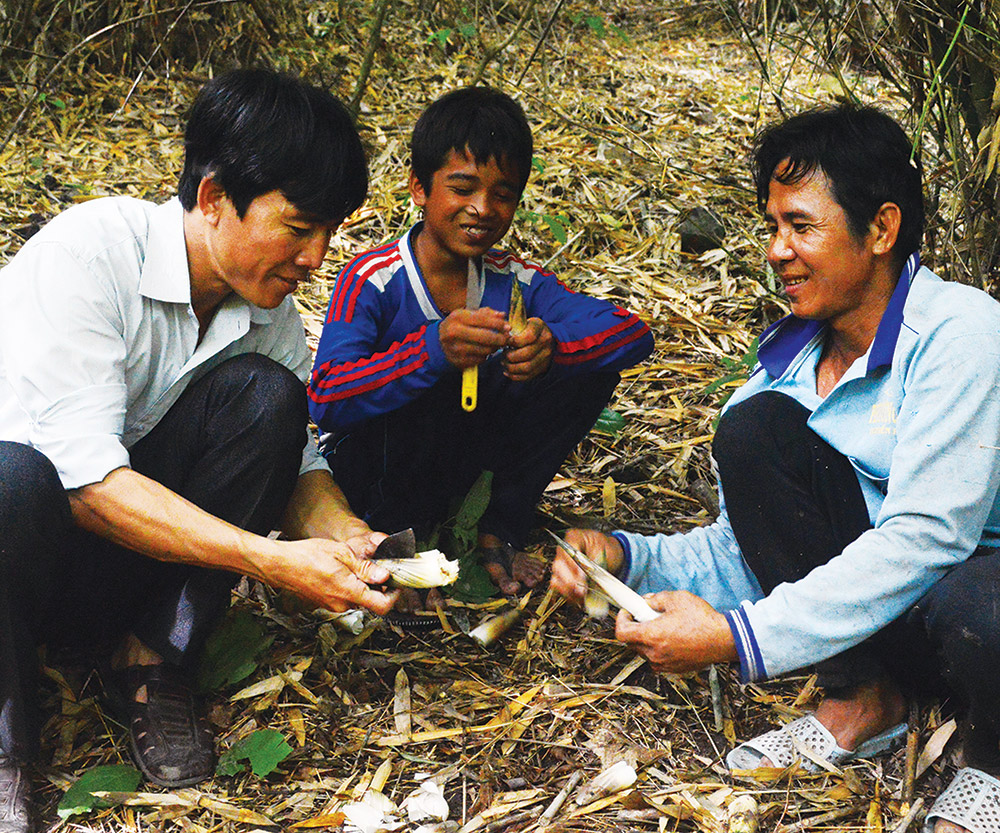 Đi giẫy măng rừng