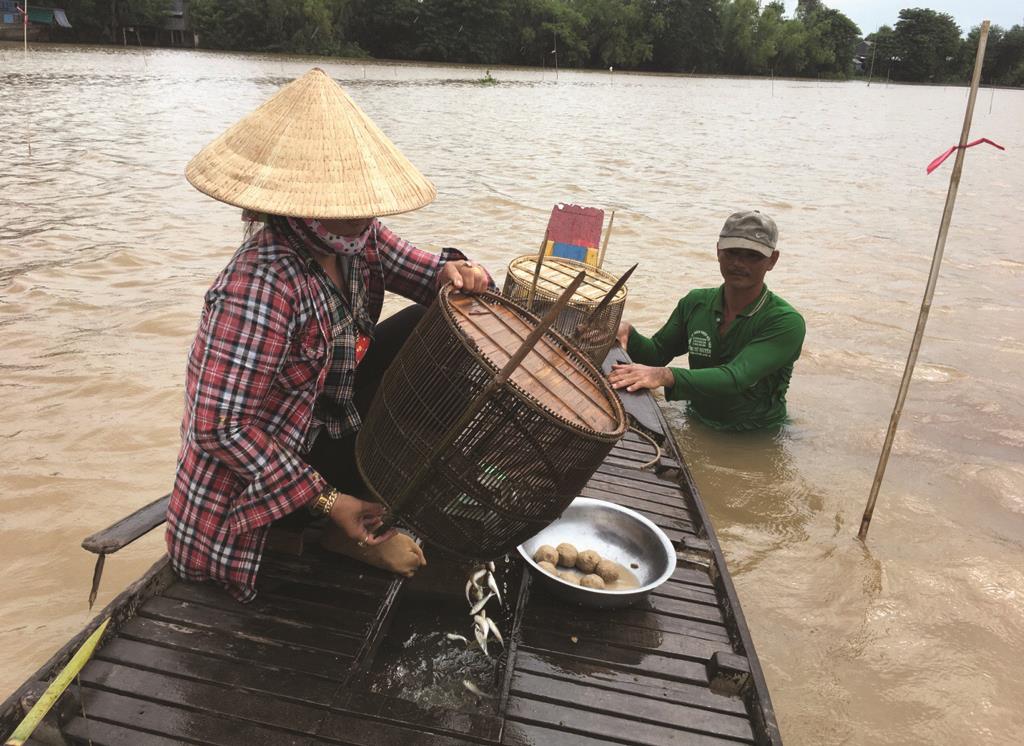 Chờ mùa lũ về