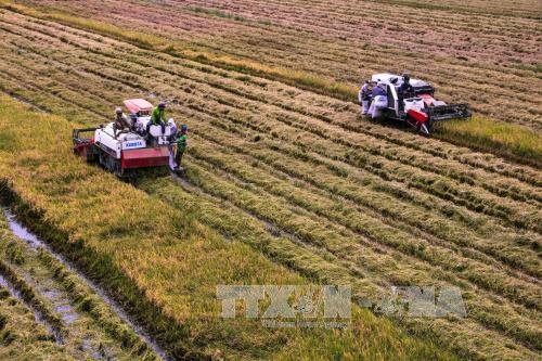 Thủ tướng ra Chỉ thị đẩy mạnh phát triển bền vững đồng bằng sông Cửu Long