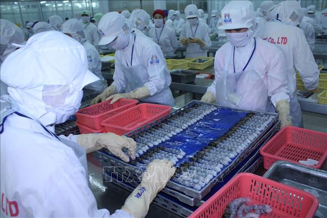 Giá trị xuất khẩu thủy sản giảm 1,2%