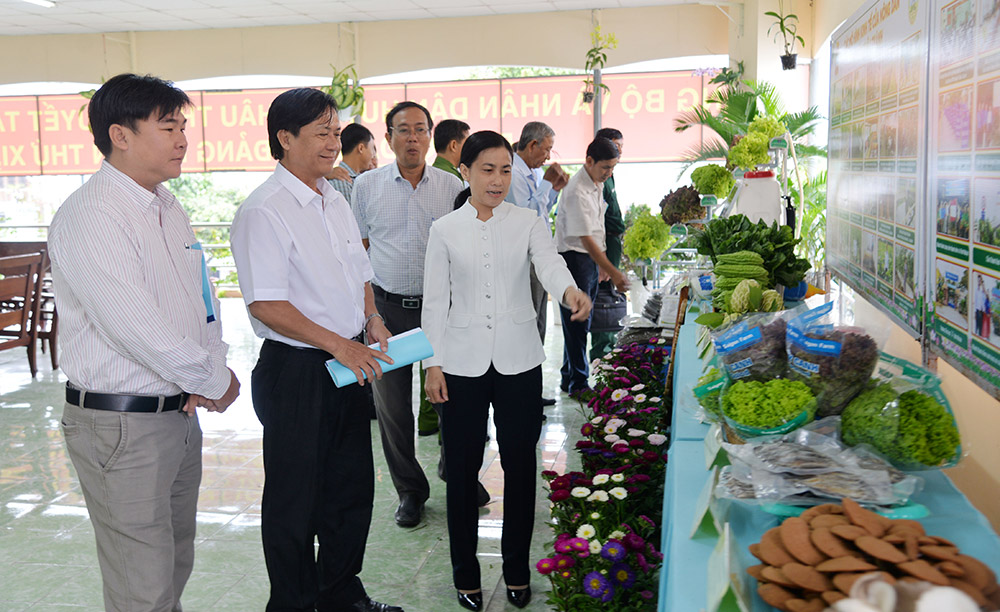 Nông dân Châu Thành sáng tạo, thi đua sản xuất-kinh doanh giỏi Tham quan các các mô hình, sản phẩm nông nghiệp tiêu biểu của huyện Châu Thành