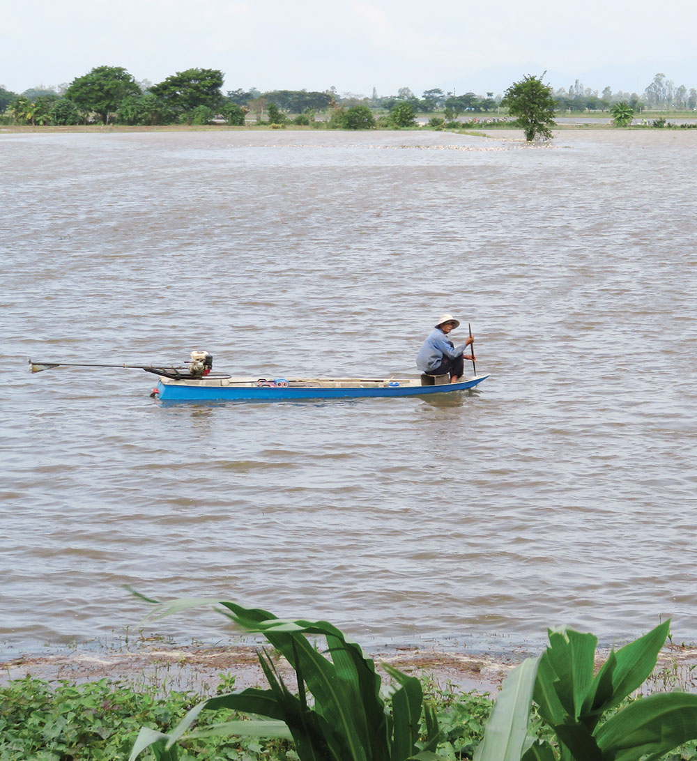 Xả lũ đón phù sa
