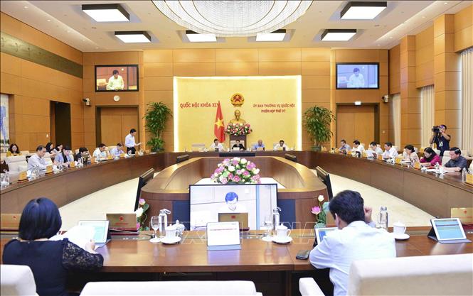 Cần quy định tỷ lệ tối thiểu phải đạt 35% đại biểu Quốc hội chuyên trách