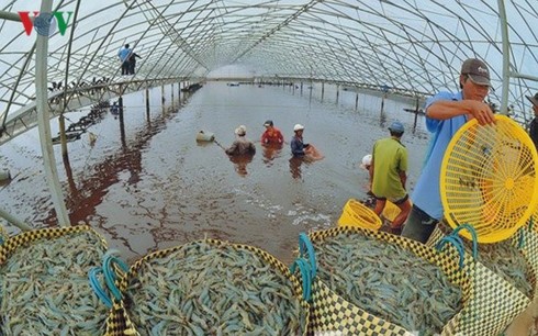 Xuất khẩu vào Mỹ: Doanh nghiệp Việt cần lưu ý gì?