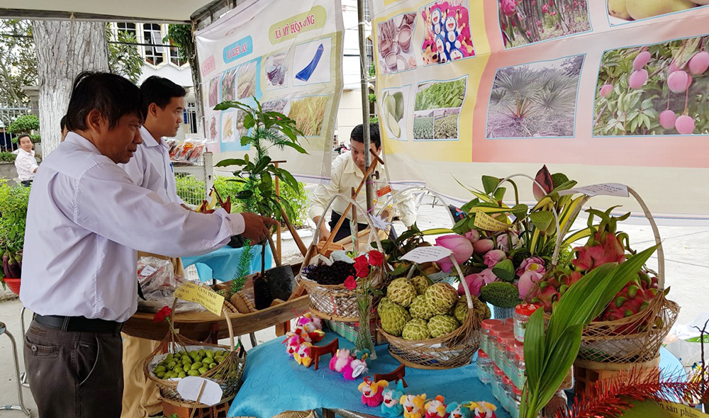 Nông dân Chợ Mới thi đua sản xuất - kinh doanh giỏi