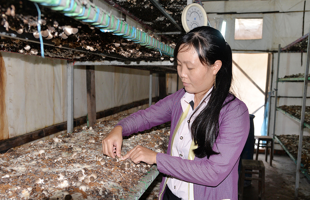Tín dụng chính sách xã hội góp phần giảm nghèo bền vững Tín dụng chính sách xã hội góp phần giảm nghèo bền vững