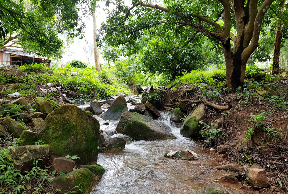 Marathon lên núi Cấm
