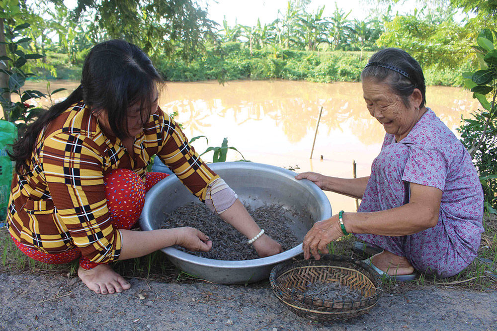 Nhiều mô hình làm ăn trong lũ Những hộ đặt dớn rất phấn khởi vì tôm, tép trong lũ rất nhiều