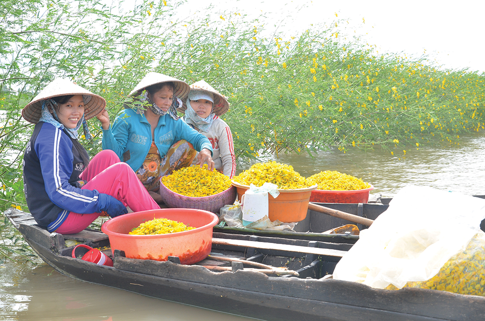 Về An Giang Thưởng Thức Đặc Sản Mùa Nước Nổi - Báo An Giang Online