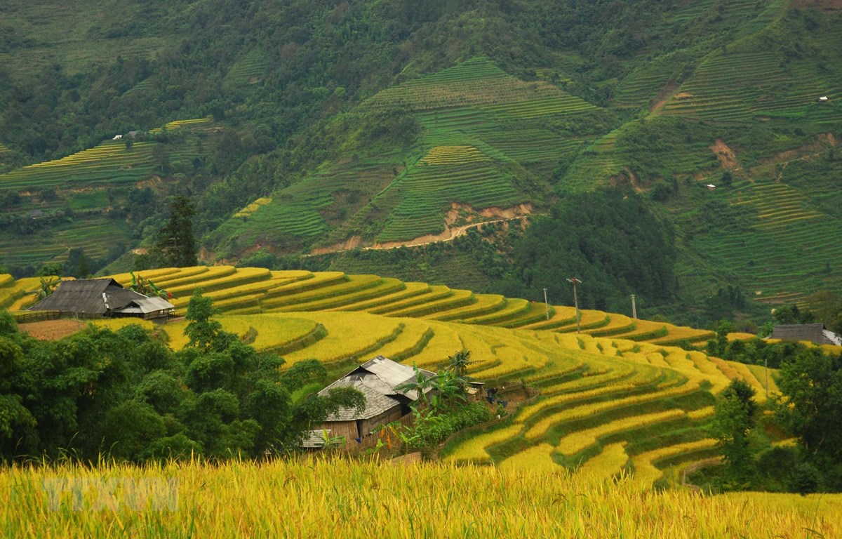 Bắc Bộ sáng sớm có sương mù, ngày nắng, Nam Bộ mưa dông vài nơi