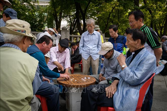 Để không lãng phí nguồn lực 60+