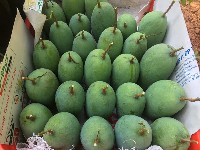Xuất khẩu nông sản Sơn La đạt hơn 100 triệu USD trong 9 tháng