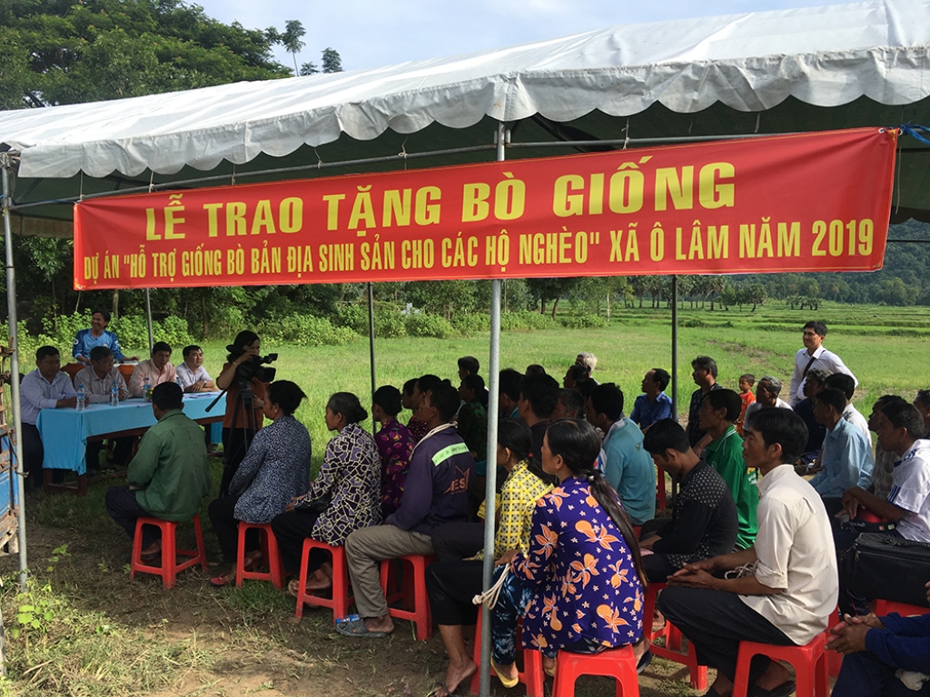 Trao 24 con bò cho hộ nghèo xã Ô Lâm