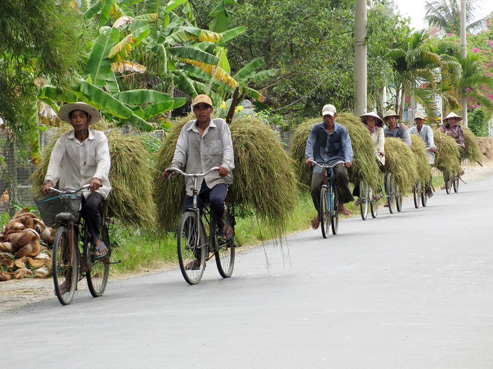 Phát triển Đảng trong đồng bào dân tộc thiểu số ở An Giang - Kỳ 1: Số lượng và chất lượng đảng viên không ngừng tăng lên Phát triển Đảng trong đồng bào dân tộc thiểu số ở An Giang - Kỳ 1: Số lượng và chất lượng đảng viên không ngừng tăng lên