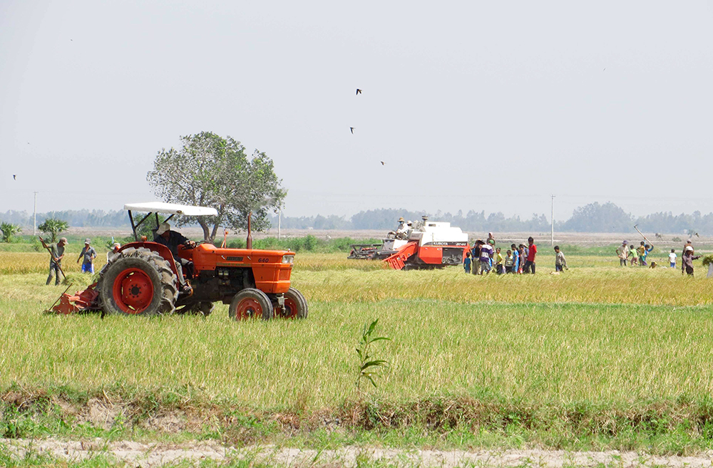 Phát triển Đảng trong đồng bào dân tộc thiểu số ở An Giang - Kỳ 2: Cách làm của huyện Tri Tôn Phát triển Đảng trong đồng bào dân tộc thiểu số ở An Giang - Kỳ 2: Cách làm của huyện Tri Tôn