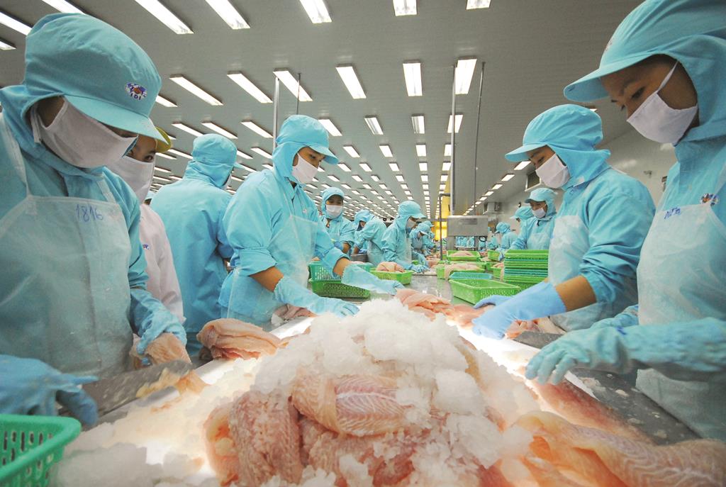 Doanh nghiệp An Giang ngày càng lớn mạnh