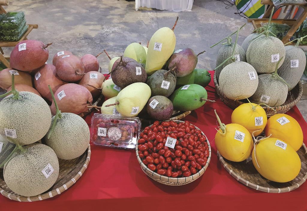 Doanh nghiệp An Giang ngày càng lớn mạnh