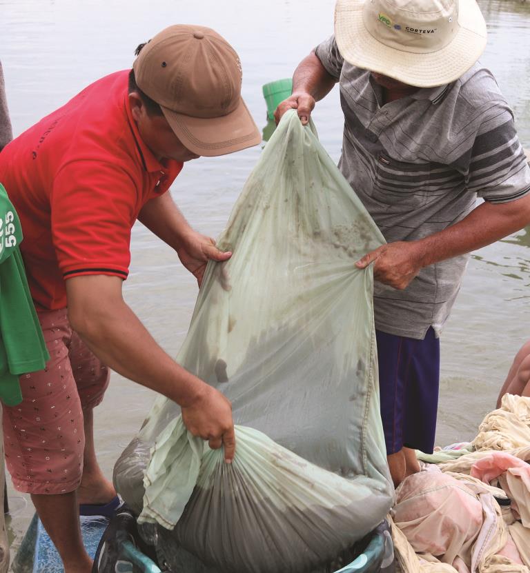 Tăng thu nhập dựa vào mùa nước nổi