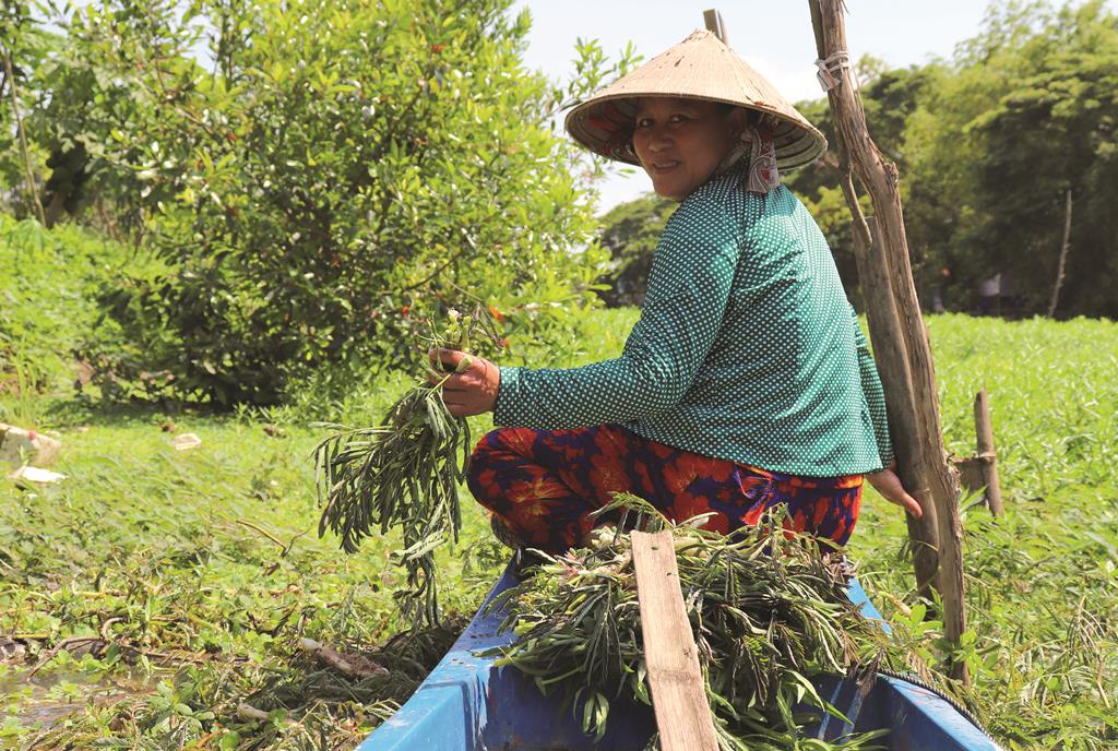 Tăng thu nhập dựa vào mùa nước nổi