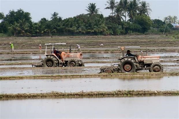 Nam Bộ, ĐBSCL triển khai kế hoạch sản xuất vụ Đông Xuân 2019-2020
